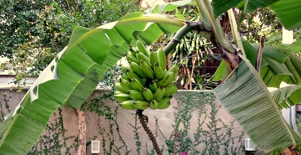 Gávea BNB Rio de Janeiro Kültér fotó