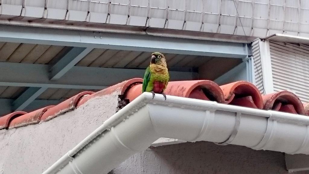 Gávea BNB Rio de Janeiro Kültér fotó